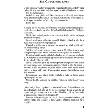 Žoldáci 2 - Slib Čarodějného krále - R. A. Salvatore