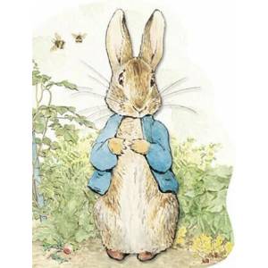 Peter Rabbit | Beatrix Potter (ISBN: 9780723259565)