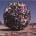 Anthrax - Stomp 442 Digisleeve CD