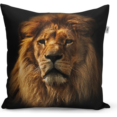 Sablio vankúš Lev 50x50