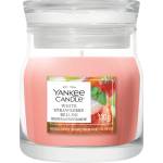 Yankee Candle Свещ YANKEE бяла ягода BELLINI SIGNATURE малка