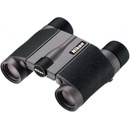 Nikon 8x20 HG L DCF