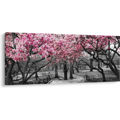 Obraz stromů Magnolíie, jednodílný 120x50 cm