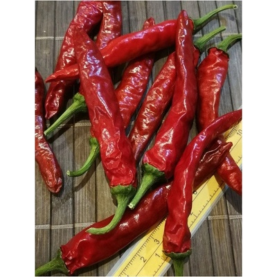 Cayenne Pepper Red 19-CA2-12-1 (chilli semena) 1 ks