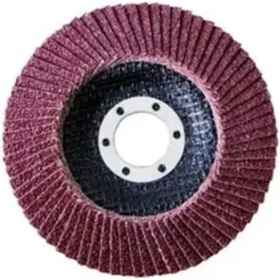 Proteco Lamelový kotouč 150 mm K80 10.20-A-150-080