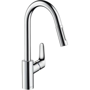 Image 1 of Hansgrohe Focus 31815000