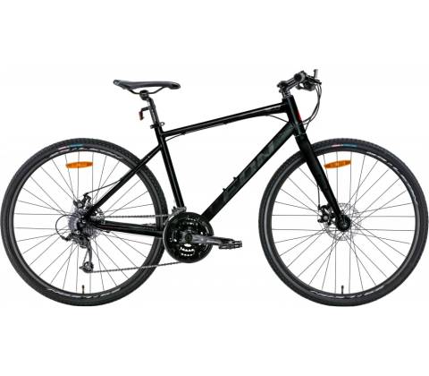 Leon HD 80 2024