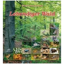 Lebendiger Wald