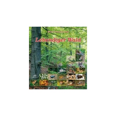 Lebendiger Wald