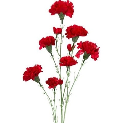 Umelá kytica karafiáty červená 72 cm