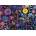 Educa - Puzzle Badda Bloom - 500 piese
