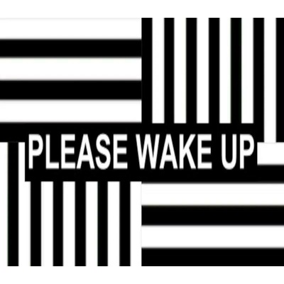 Please Wake Up