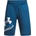 Under Armour Prototype 2.0 modrá