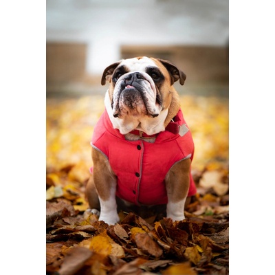 Vsepropejska Bulldog zimní bunda pro psa