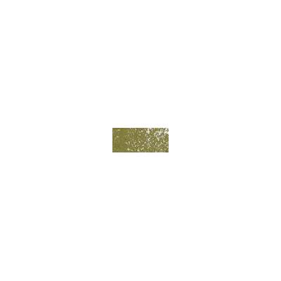 Sennelier suchý pastel 160 bronze green deep