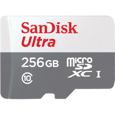 SanDisk Ultra R100 microSDXC 256GB UHS-I/C10 (SDSQUNR-256G-GN3MN)