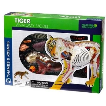 Thames & kosmos - Конструирай анатомичен модел на тигър (261050)