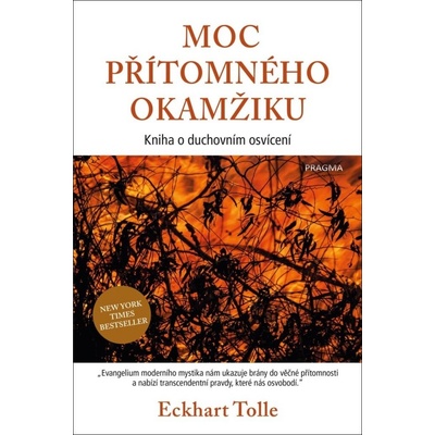 Moc přítomného okamžiku