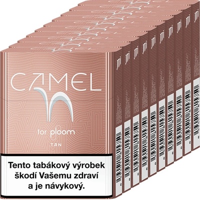 Camel Tan karton