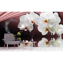 Malvis ® Tapeta Orchidej bílá, rozměry 144 x 105 cm