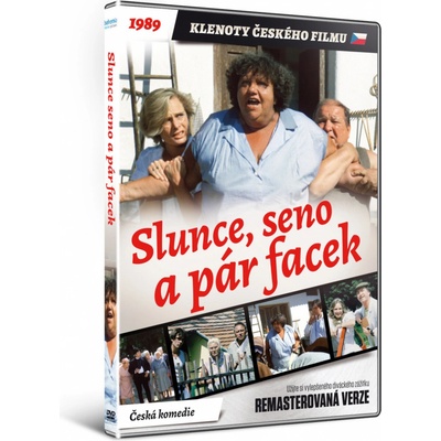 Slunce, seno a pár facek DVD