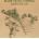 DYLAN BOB: SLOW TRAIN COMING, CD