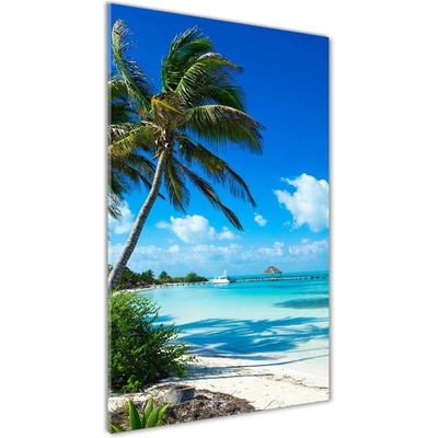 Vertikálny foto obraz sklo tvrdené Tropická pláž 50x100 cm