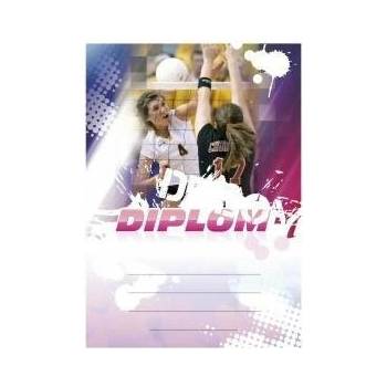 Diplom 6635