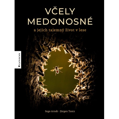 Včely medonosné a jejich tajemný život v lese