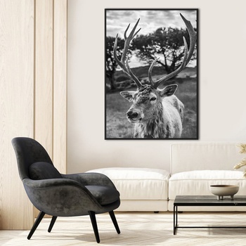 Image 1 of Decono Картина Елен В Черно и Бяло