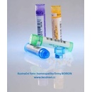 HEPAR SULFURIS CALCAREUM POR 9CH GRA 4G