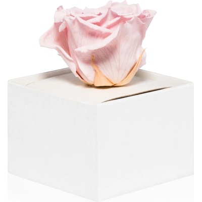 RoseAmor Pink стабилизирана роза в кутия