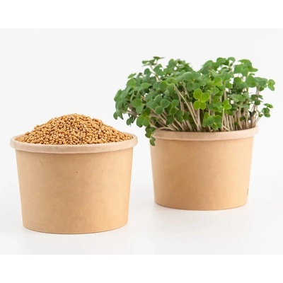 Tiny Greens Bílá hořčice Frosty BIO semínka na klíčení a microgreens 50 g