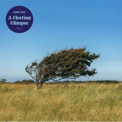 A Fleeting Glimpse - Bjorn Riis LP
