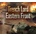 Trench Lord: Eastern Front