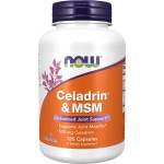 NOW NOW Celadrin & MSM 500mg, 120 Capsules