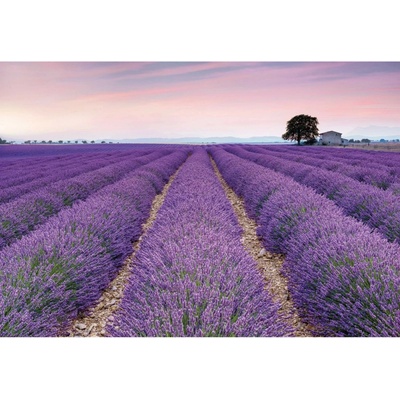 Komar Vliesová fototapeta Provence rozměry 400 x 260 cm