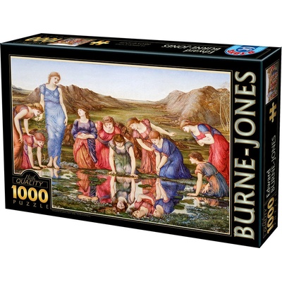D-TOYS Venušino zrcadlo 1000 dílků