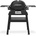 Weber Q1200N Stand