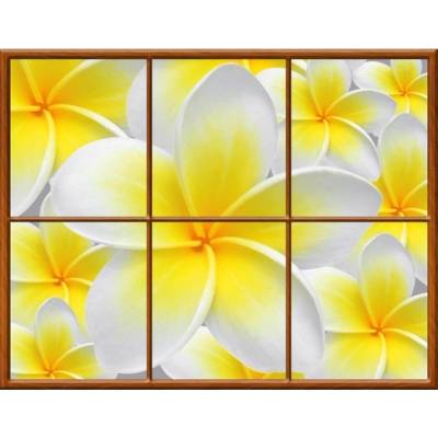 Preinterier Fototapeta - FT0278 - vlies - 400cm x 312cm