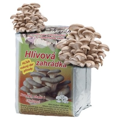 Nohel Garden Hlíva ústřičná HLÍVOVÁ ZAHRÁDKA 15 l