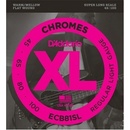 D'Addario ECB 81 SL