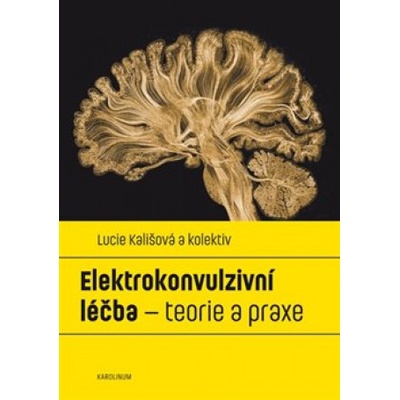 Elektrokonvulzivní léčba - teorie a praxe