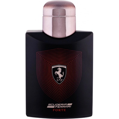 Ferrari Scuderia Ferrari Black parfémovaná voda pánská 125 ml tester