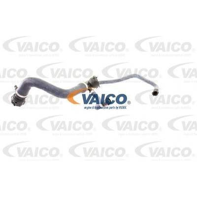 VAICO Hadice chladiče V20-0870