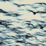 Bellbird - The Call (LP) (0666561019013)