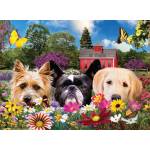 SunsOut - Puzzle Peek-a-Boo - 500 piese