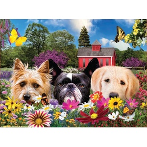 SunsOut - Puzzle Peek-a-Boo - 500 piese
