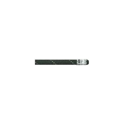 Beal Raider 11 mm 100m