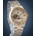 Orient AS0007S10B